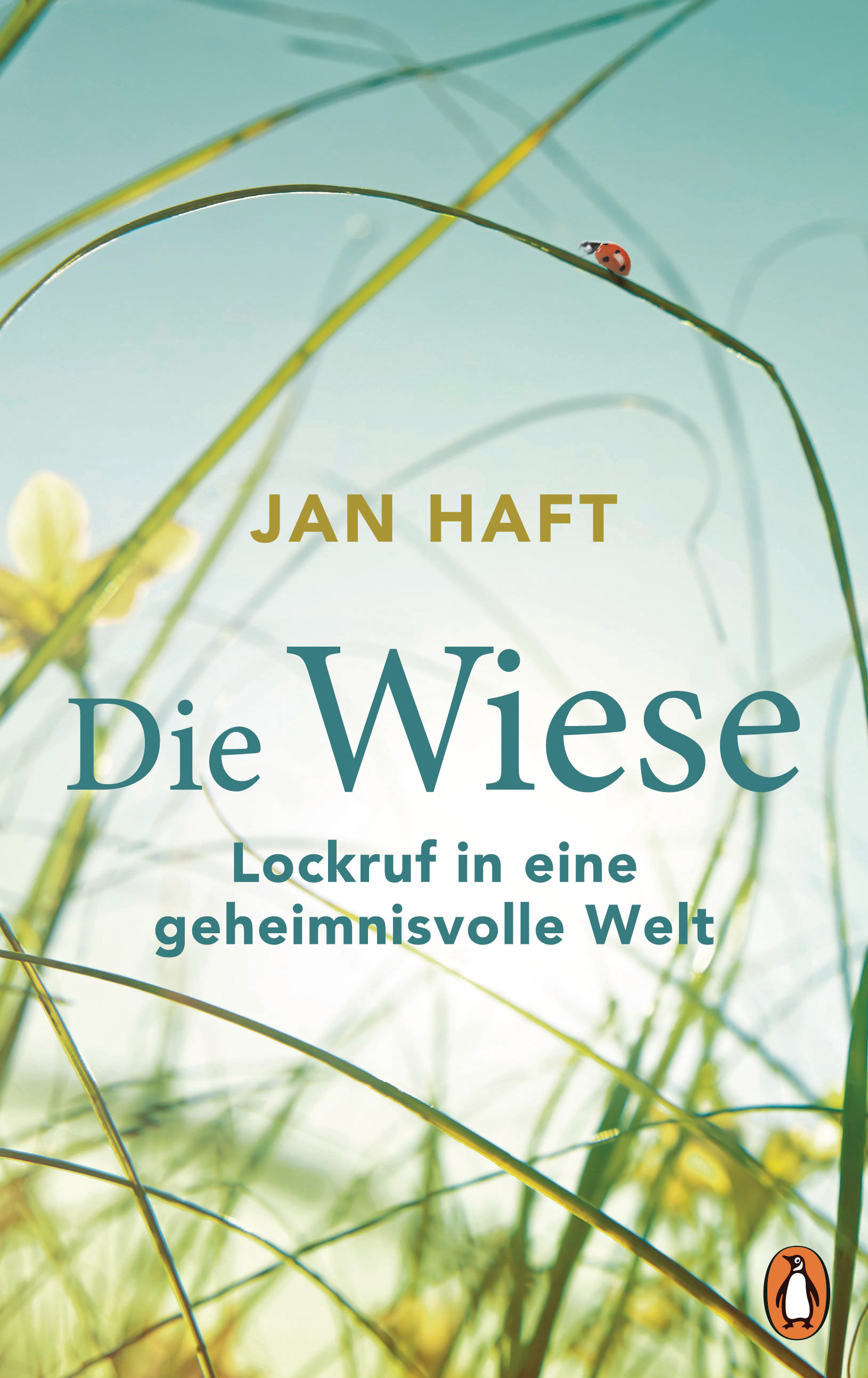 Buchcover: Jan Haft: Die Wiese