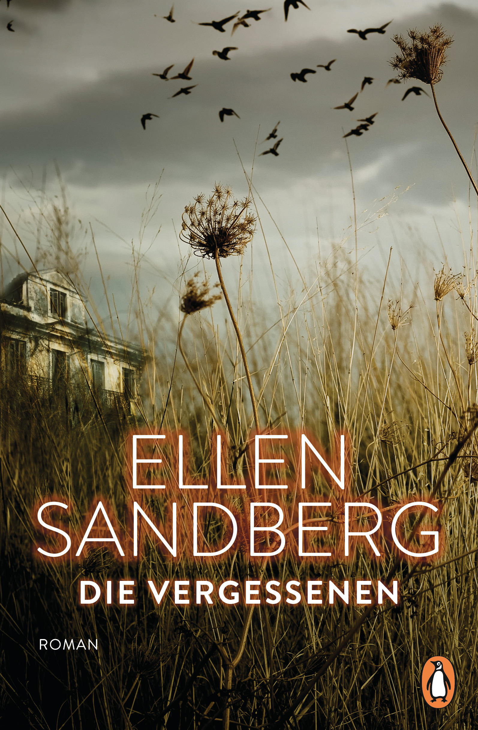 Buchcover: Ellen Sandberg: Die Vergessenen